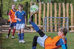 Ondernemingsplan 2026-2029